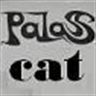 گربه پالاس(پالاس کت)